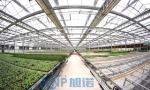 蔬菜溫室大棚可以使用91免费在线视频观看做骨架嗎？
